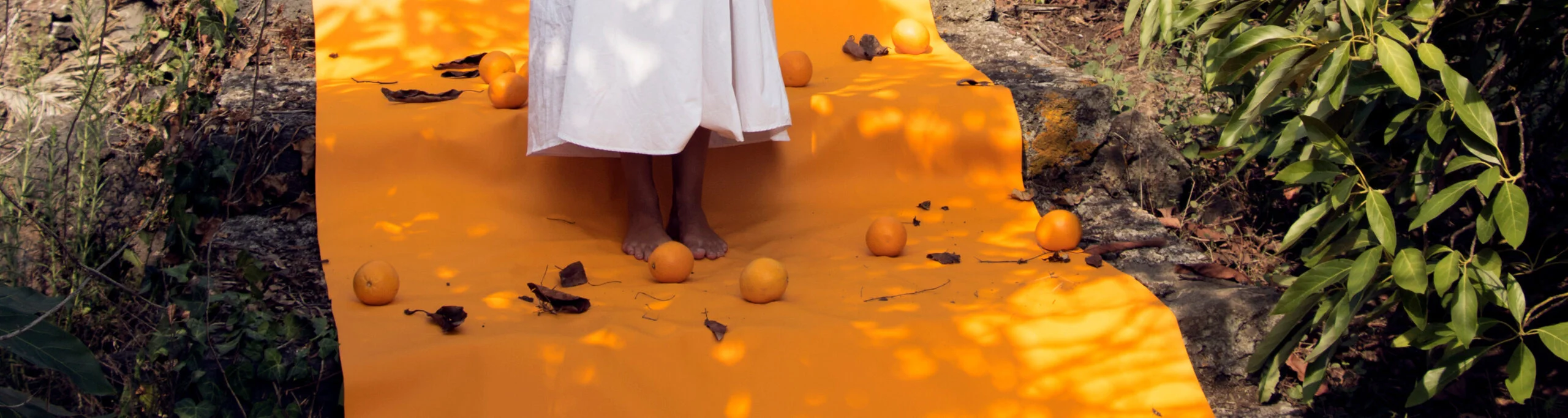Discover the latest innovations in sustainable materials, bio-based leather alternatives, and circular fashion through Ohoskin's news and blog hub.
